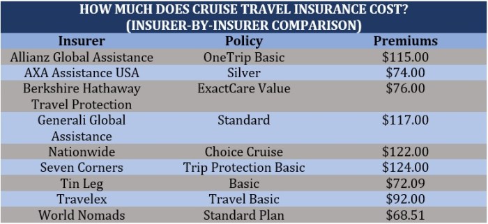 Cruise travel insurance coverage options