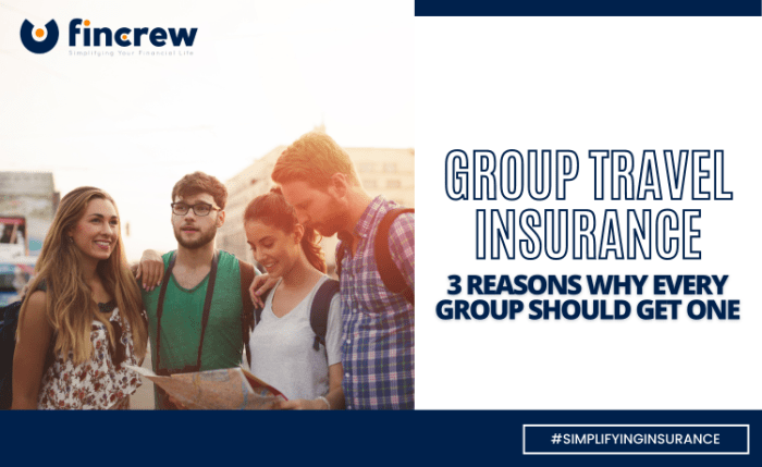 Group travel insurance for large families or friends