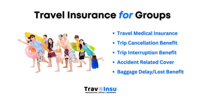 Group travel insurance for large groups