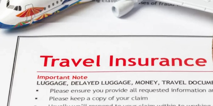 Travel insurance for natural disasters