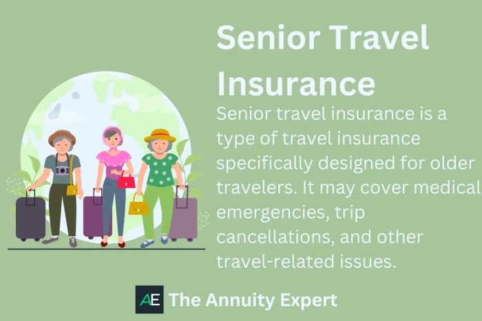 Senior citizen travel insurance options