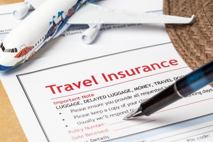 Travel insurance for long-term trips