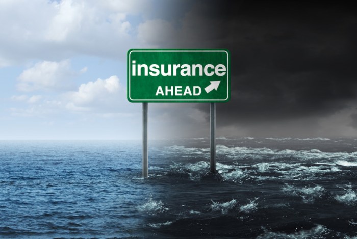 Travel insurance for natural disaster coverage