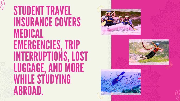 How travel insurance works for international students studying abroad